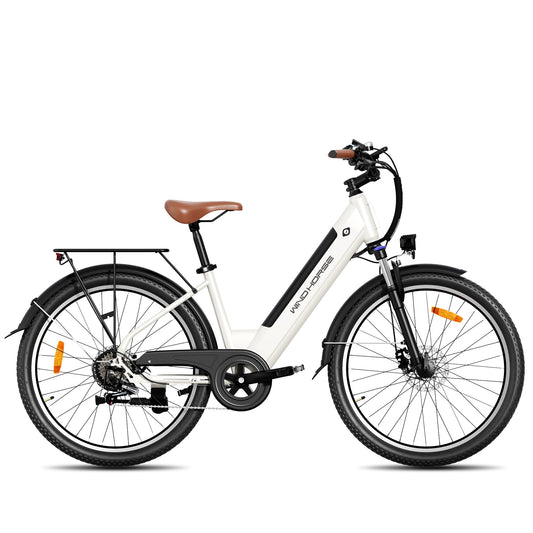 Windhorse F2 Electric Bicycle