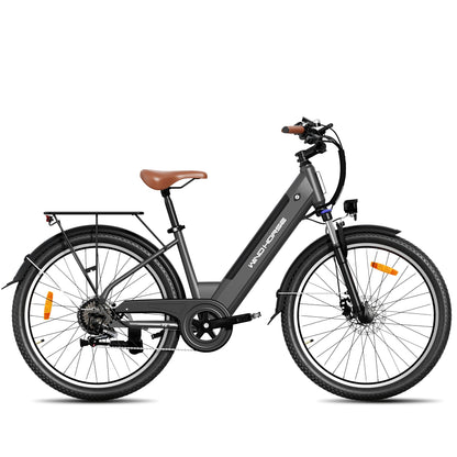 Windhorse F2 Electric Bicycle