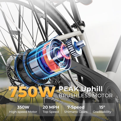 Windhorse F2 Electric Bicycle