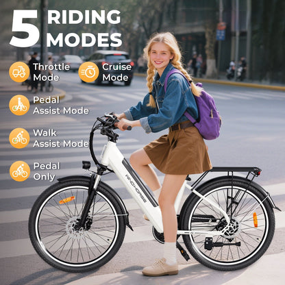 Windhorse F2 Electric Bicycle