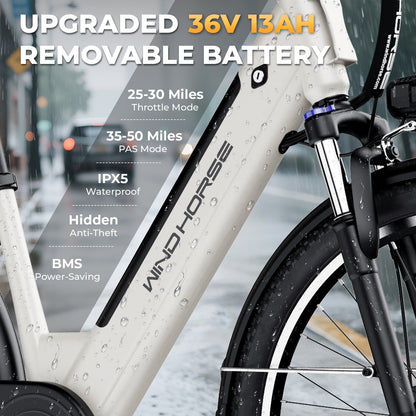 Windhorse F2 Electric Bicycle
