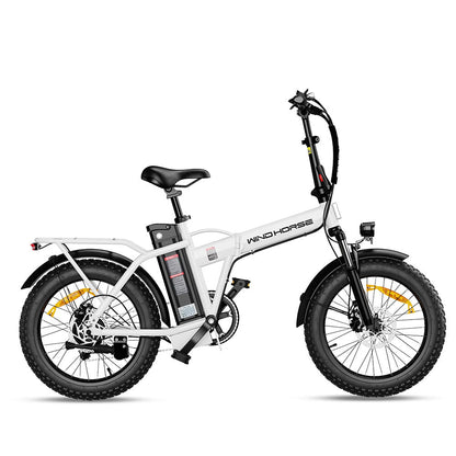Windhorse W4A Folding Electric Bike