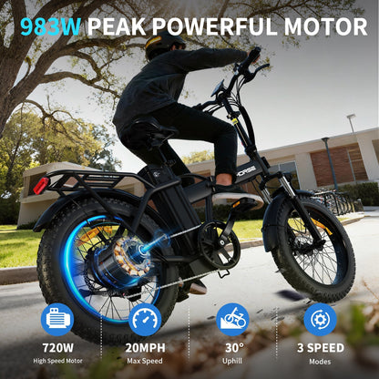 Windhorse W4A Folding Electric Bike